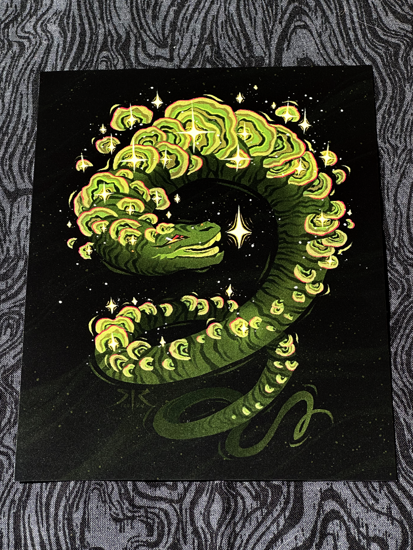 Funguary 2023 - 'Turkey Tail' Art Print