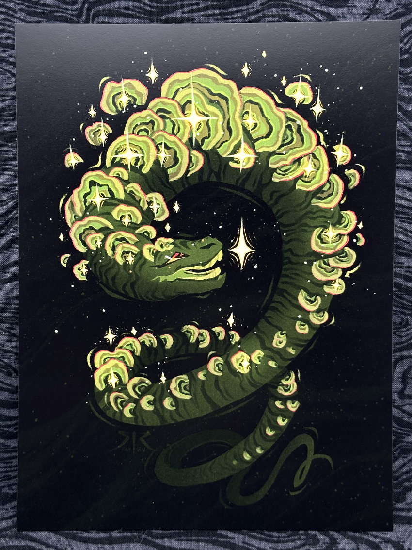 Funguary 2023 - 'Turkey Tail' Art Print