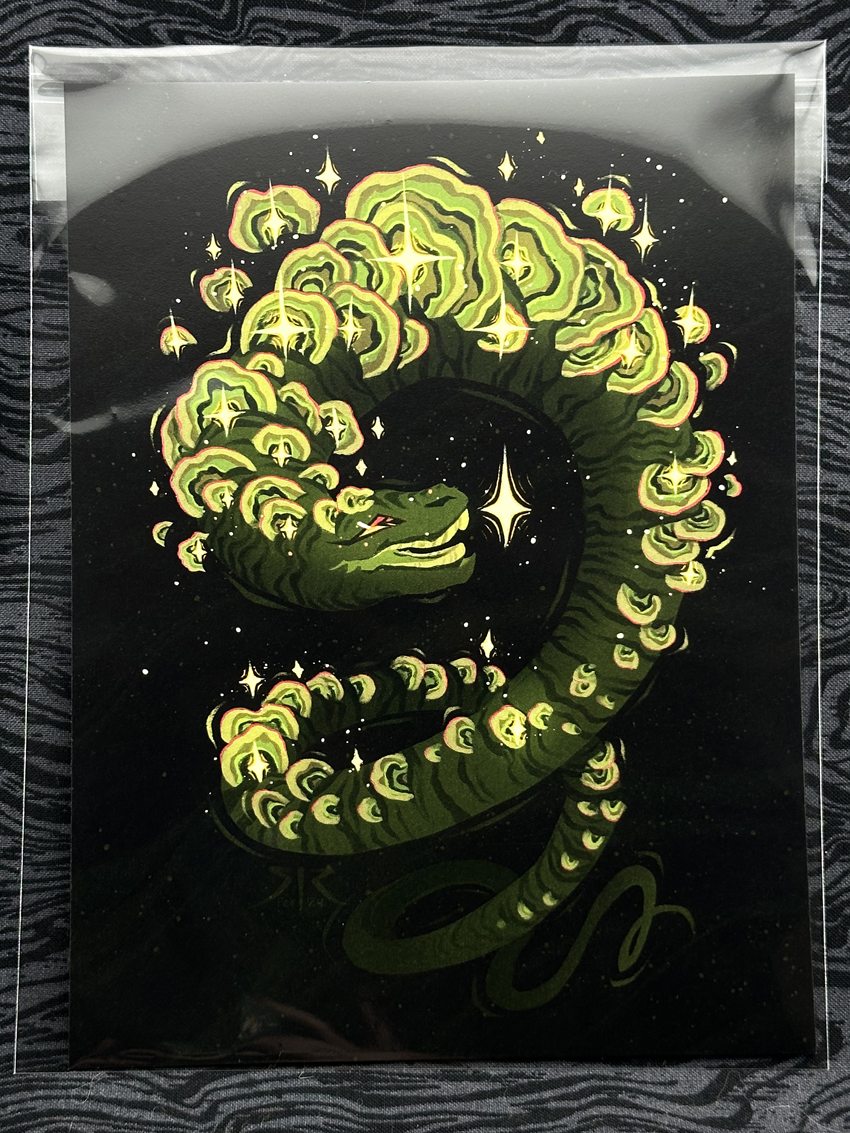 Funguary 2023 - 'Turkey Tail' Art Print