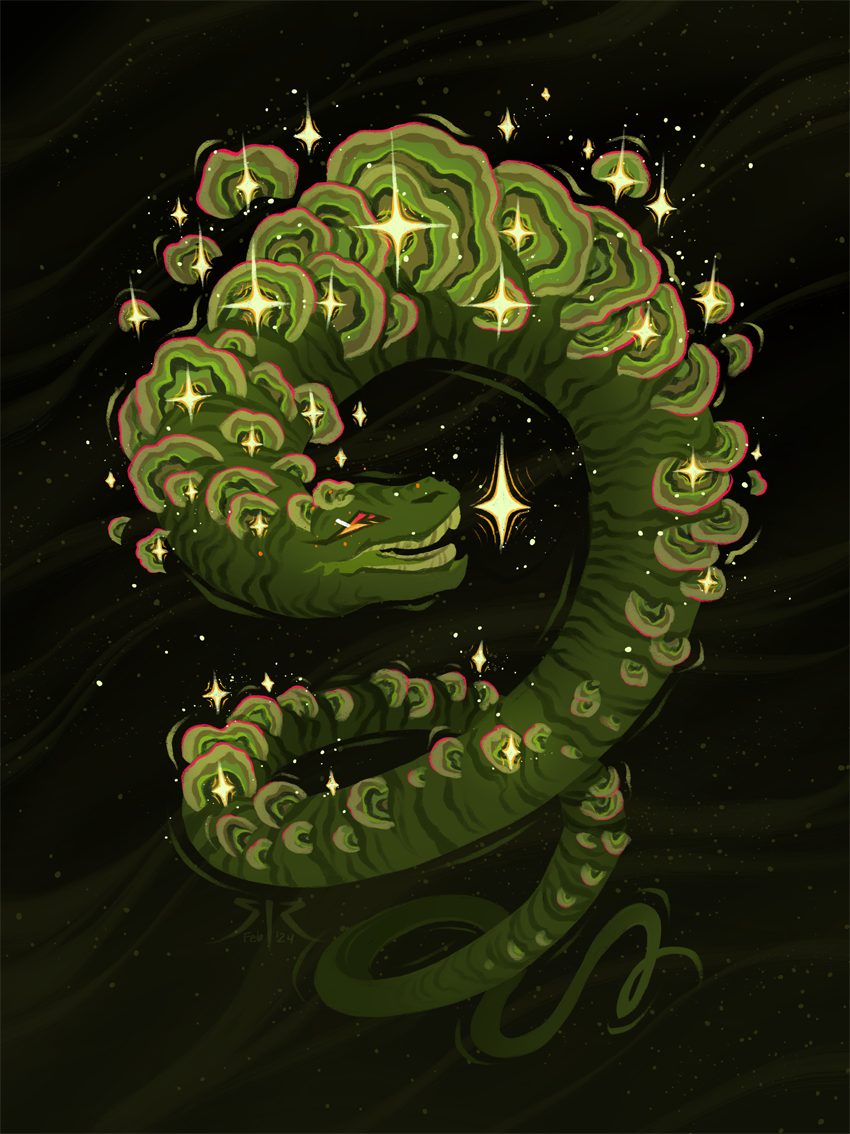 Funguary 2023 - 'Turkey Tail' Art Print