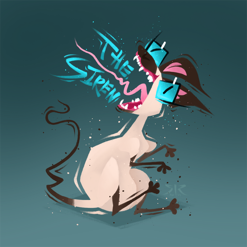 Chocolate point Siamese cat with open mouth on a blue background. Features text: "The Siren".